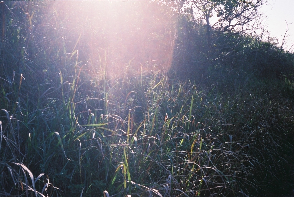 f:id:Studiocedarv:20181031193944j:plain f:id:Studiocedarv:20181031193944j:plain