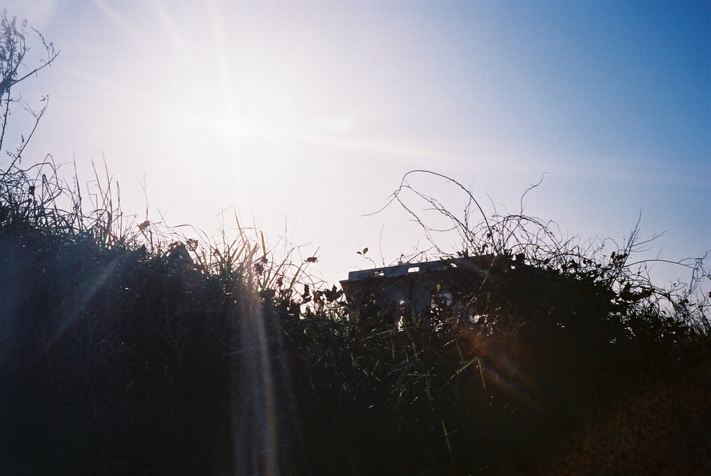 f:id:Studiocedarv:20181031194148j:plain f:id:Studiocedarv:20181031194148j:plain