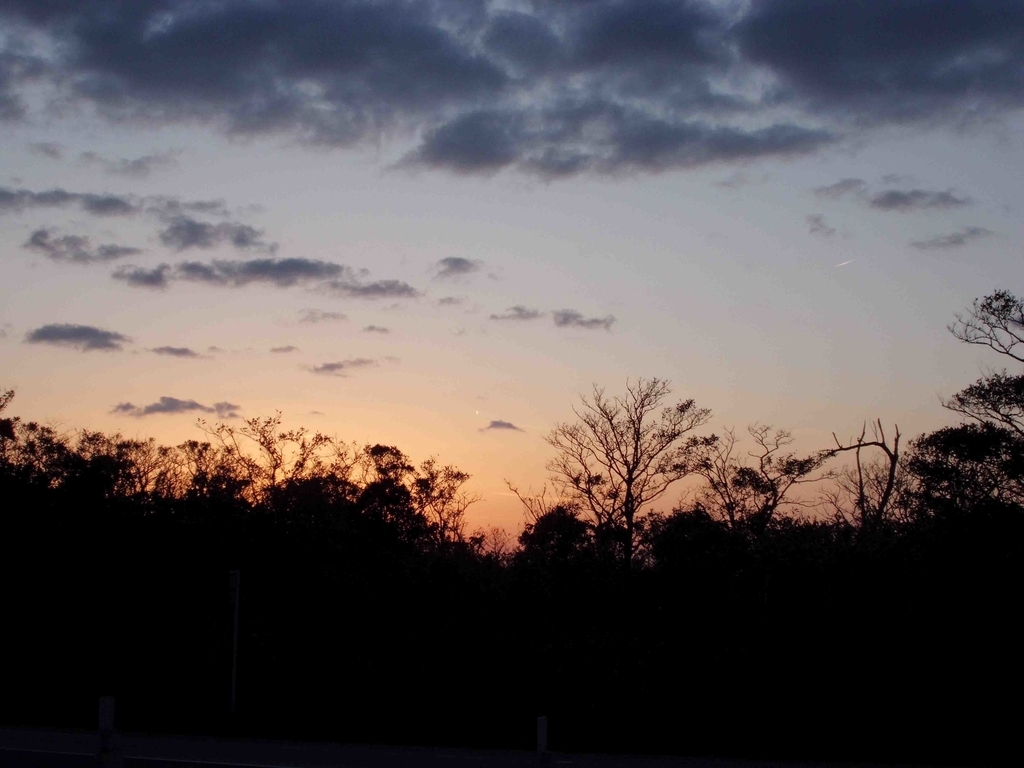 f:id:Studiocedarv:20181031194401j:plain f:id:Studiocedarv:20181031194401j:plain