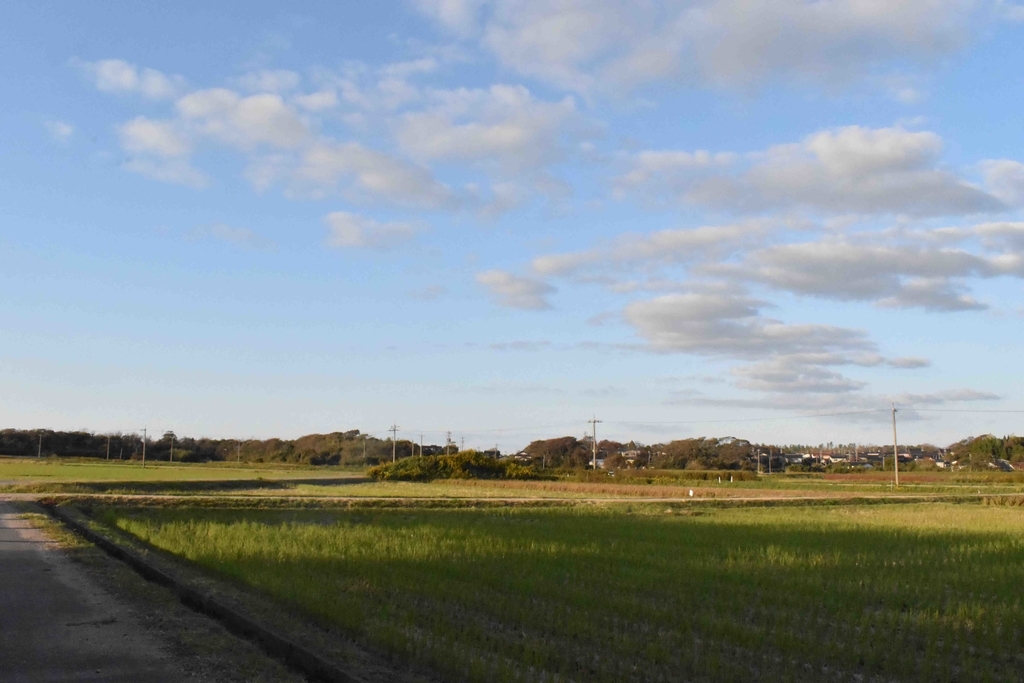 f:id:Studiocedarv:20181031194412j:plain f:id:Studiocedarv:20181031194412j:plain