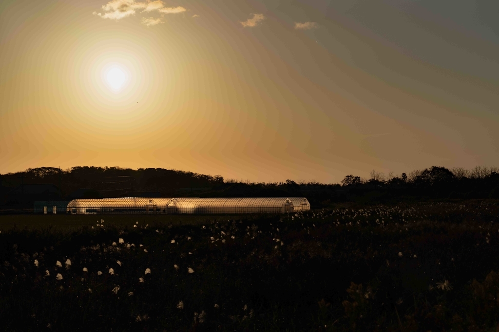 f:id:Studiocedarv:20181031194529j:plain f:id:Studiocedarv:20181031194529j:plain