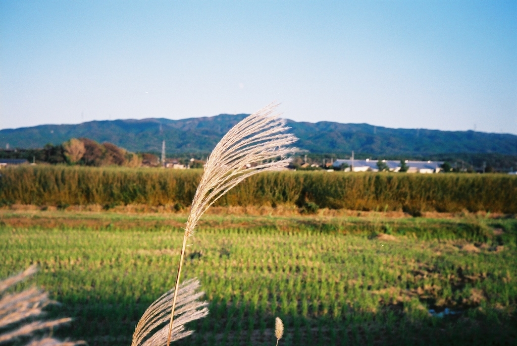 f:id:Studiocedarv:20181031194658j:plain f:id:Studiocedarv:20181031194658j:plain