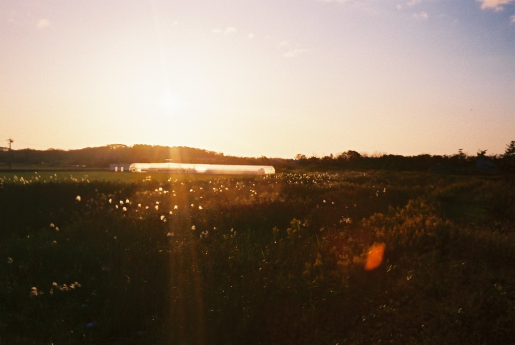 f:id:Studiocedarv:20181031194703j:plain f:id:Studiocedarv:20181031194703j:plain