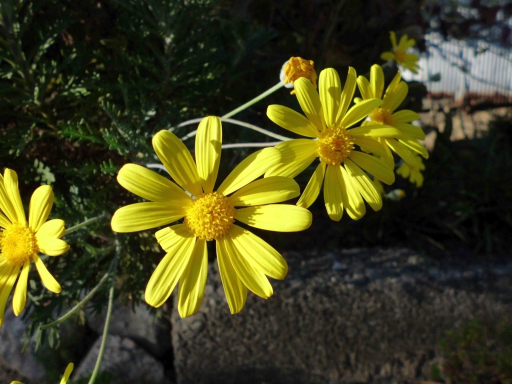 f:id:Studiocedarv:20181031194827j:plain f:id:Studiocedarv:20181031194827j:plain