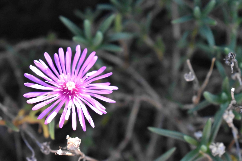 f:id:Studiocedarv:20181031194904j:plain f:id:Studiocedarv:20181031194904j:plain