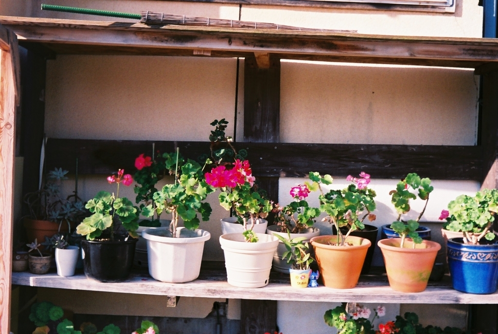 f:id:Studiocedarv:20181031195053j:plain f:id:Studiocedarv:20181031195053j:plain