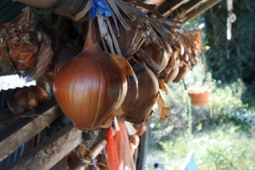 f:id:Studiocedarv:20181031195058j:plain f:id:Studiocedarv:20181031195058j:plain