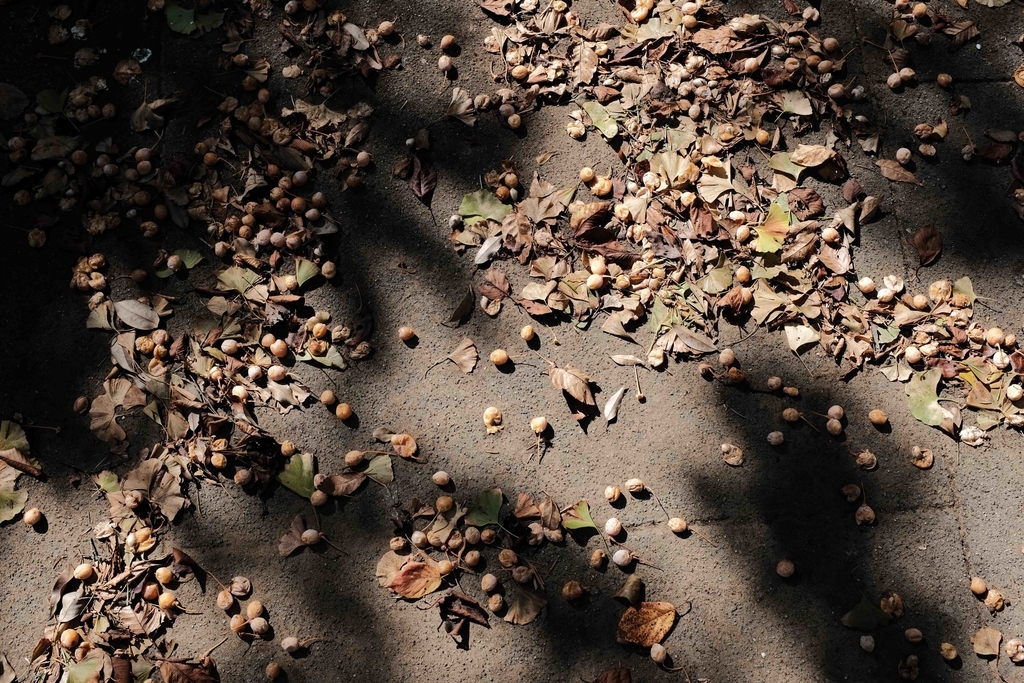 f:id:Studiocedarv:20181031195239j:plain f:id:Studiocedarv:20181031195239j:plain