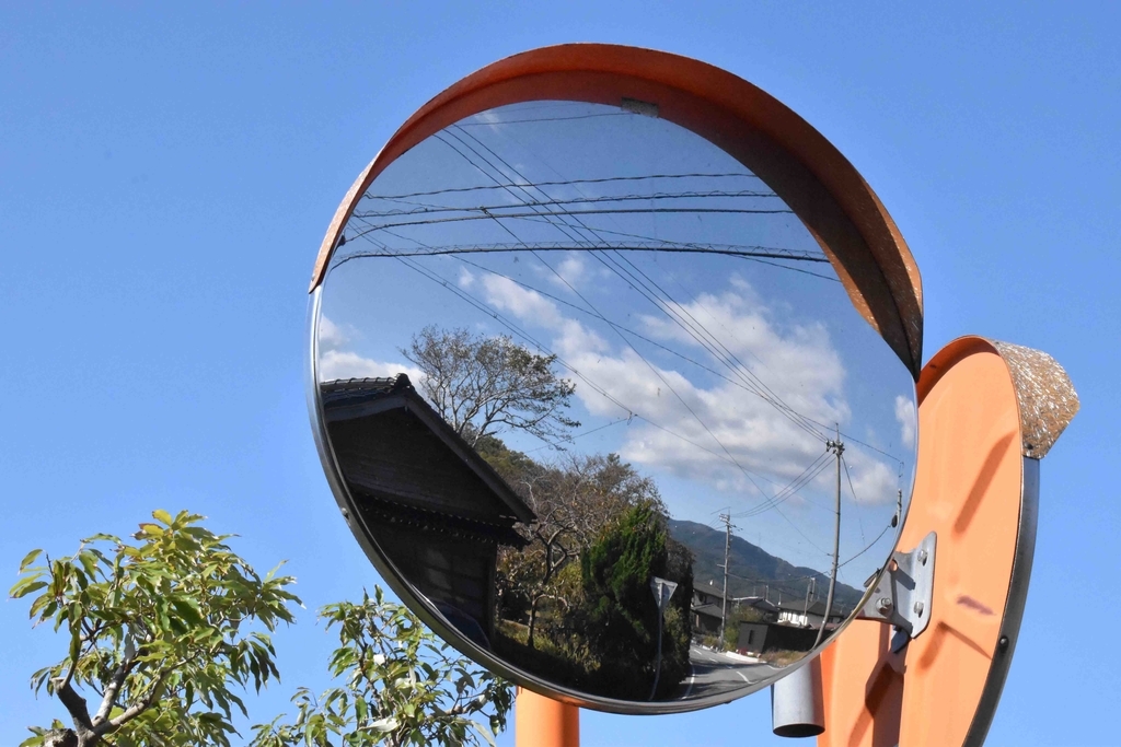 f:id:Studiocedarv:20181031195501j:plain f:id:Studiocedarv:20181031195501j:plain