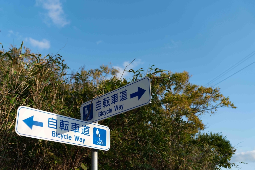 f:id:Studiocedarv:20181031195707j:plain f:id:Studiocedarv:20181031195707j:plain