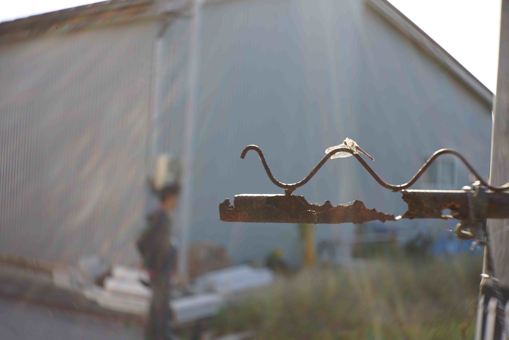 f:id:Studiocedarv:20181031195827j:plain f:id:Studiocedarv:20181031195827j:plain