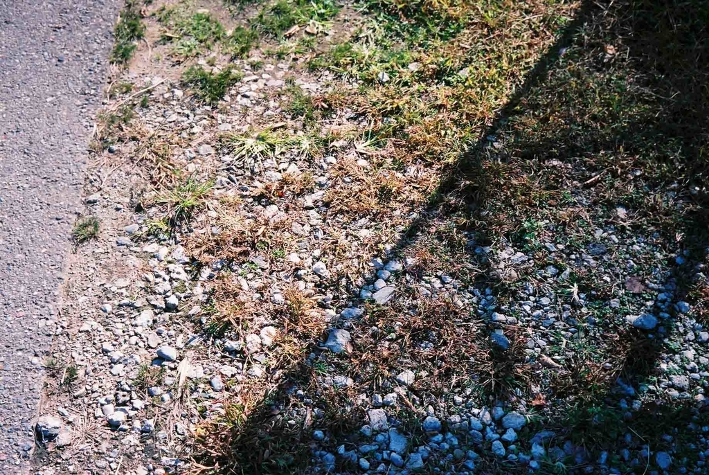 f:id:Studiocedarv:20181031195904j:plain f:id:Studiocedarv:20181031195904j:plain