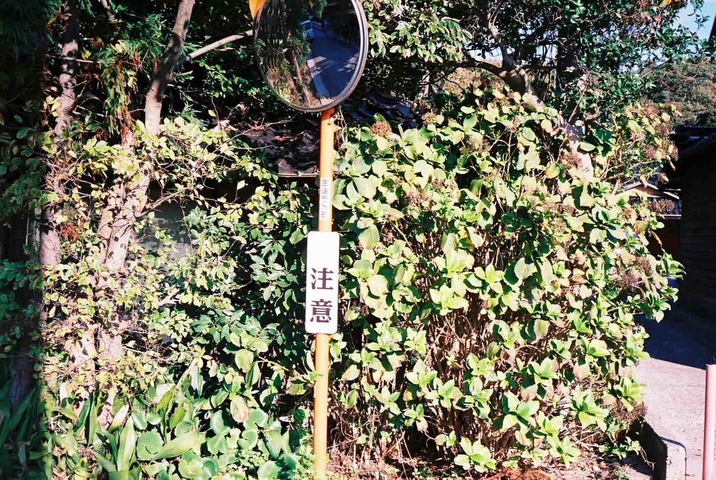 f:id:Studiocedarv:20181031195913j:plain f:id:Studiocedarv:20181031195913j:plain