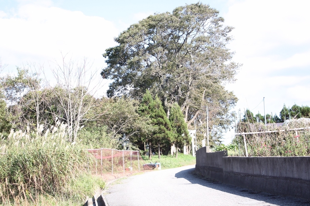 f:id:Studiocedarv:20181031200100j:plain f:id:Studiocedarv:20181031200100j:plain