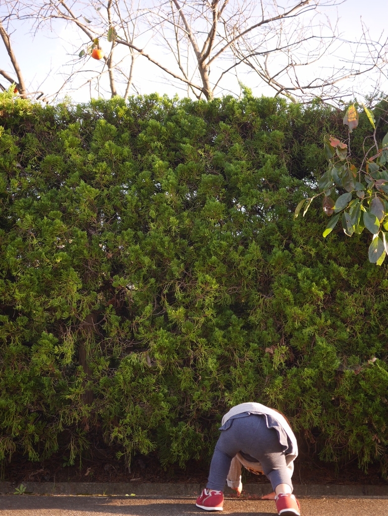 f:id:Studiocedarv:20181031200110j:plain f:id:Studiocedarv:20181031200110j:plain