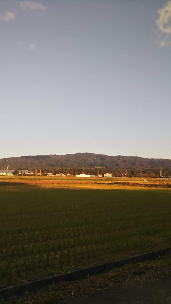 f:id:Studiocedarv:20181031200136j:plain f:id:Studiocedarv:20181031200136j:plain