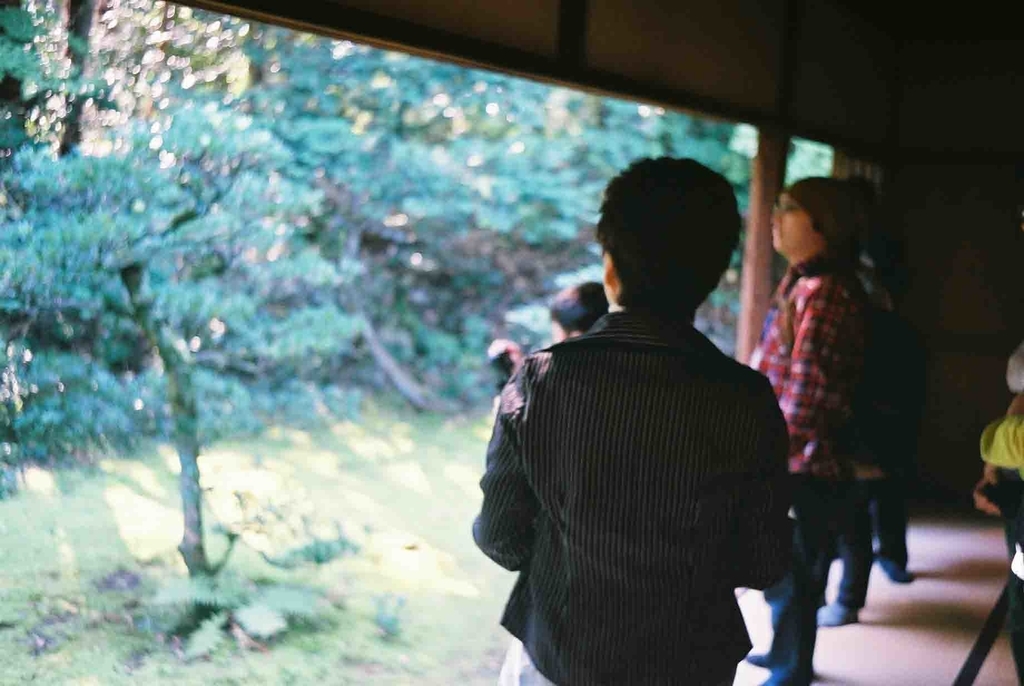 作例】『OLYMPUS TRIP35』でいくフォトウォーク!フィルムカメラは 作例】『OLYMPUS TRIP35』でいくフォトウォーク!フィルムカメラは