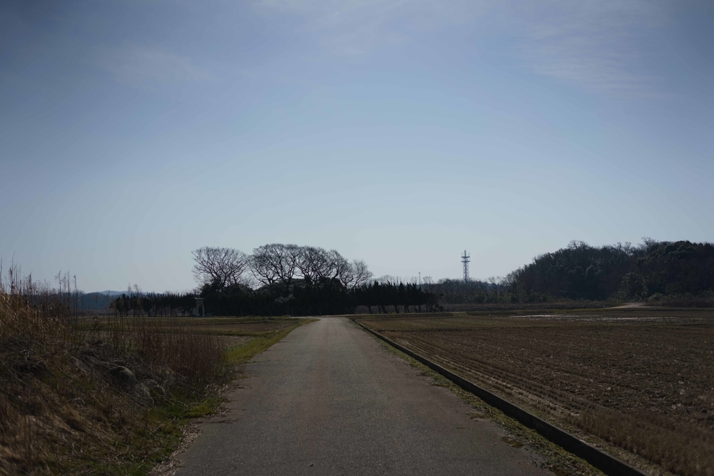 f:id:Studiocedarv:20190303095107j:plain f:id:Studiocedarv:20190303095107j:plain