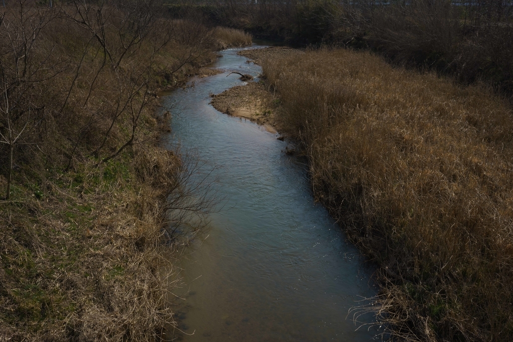 f:id:Studiocedarv:20190303095755j:plain f:id:Studiocedarv:20190303095755j:plain