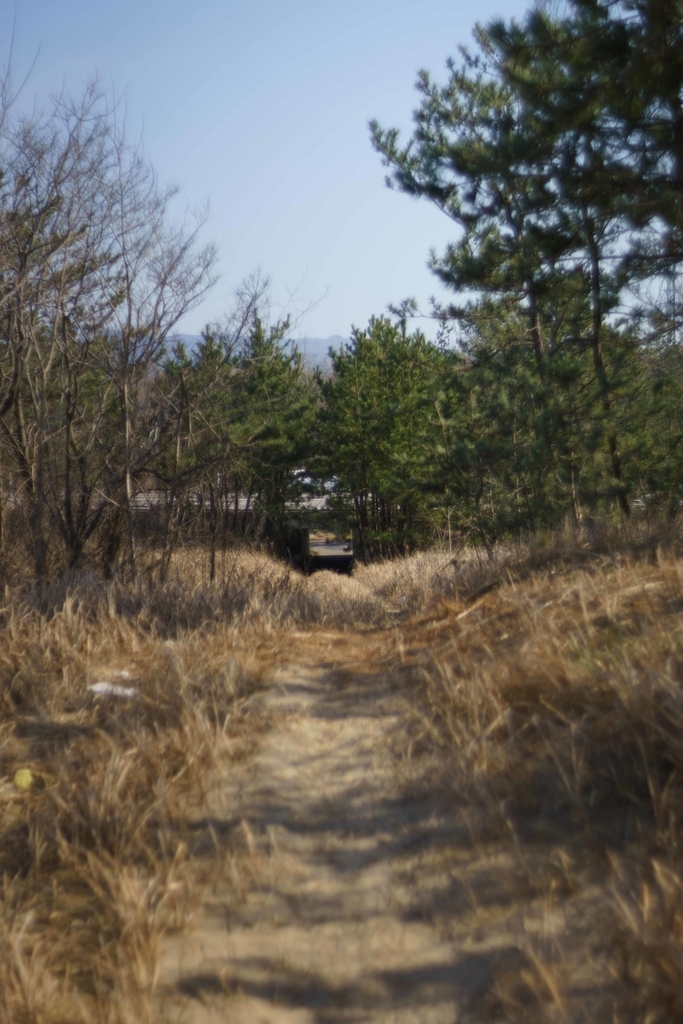 f:id:Studiocedarv:20190303101106j:plain f:id:Studiocedarv:20190303101106j:plain