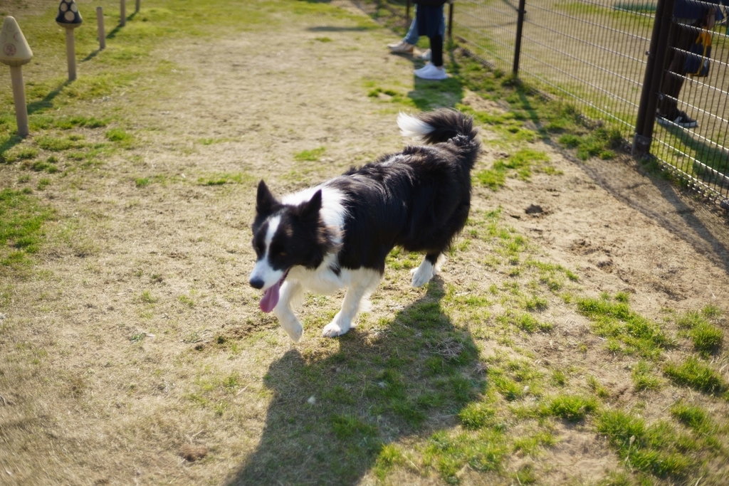 f:id:Studiocedarv:20190303101358j:plain f:id:Studiocedarv:20190303101358j:plain