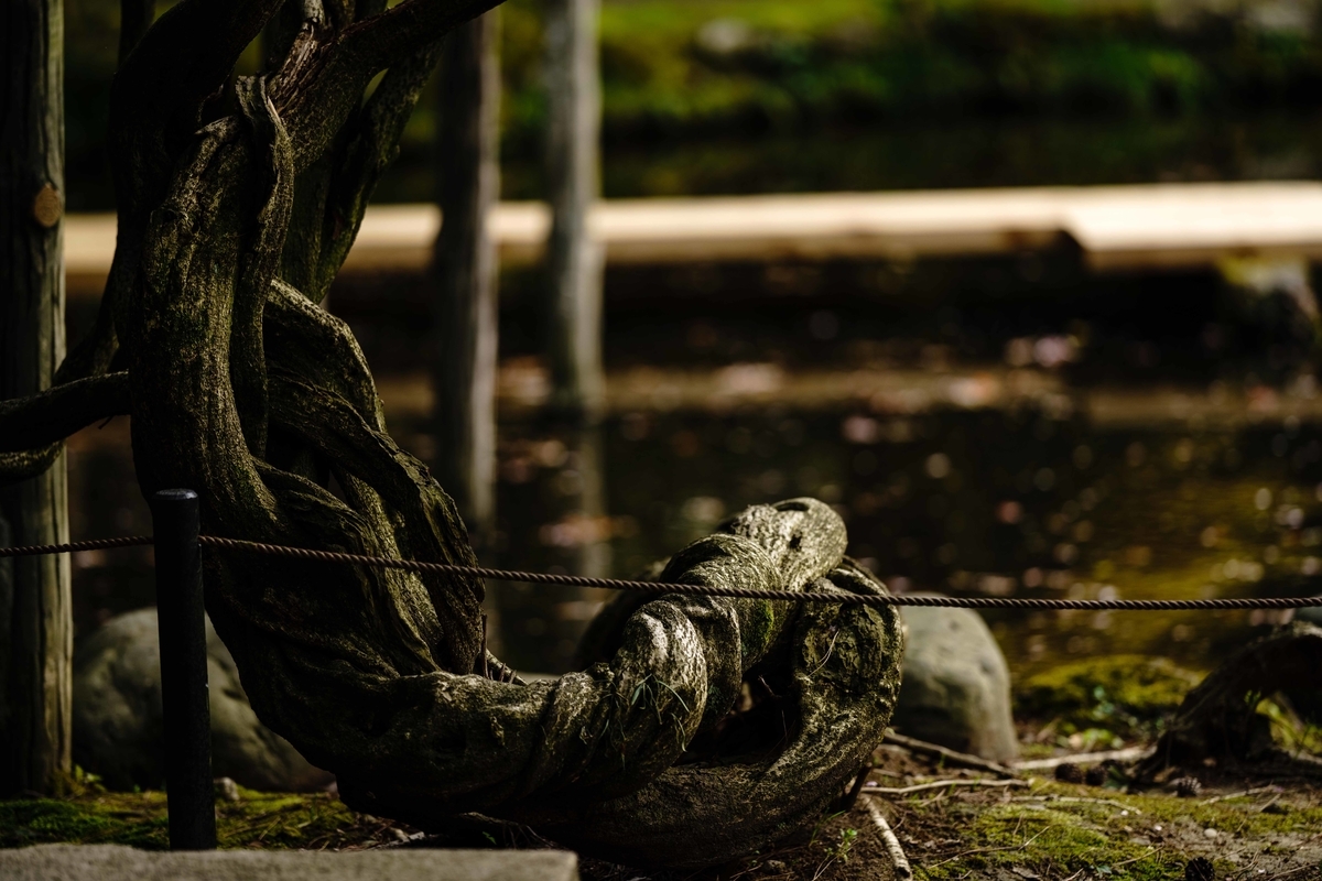 f:id:Studiocedarv:20190420143918j:plain f:id:Studiocedarv:20190420143918j:plain