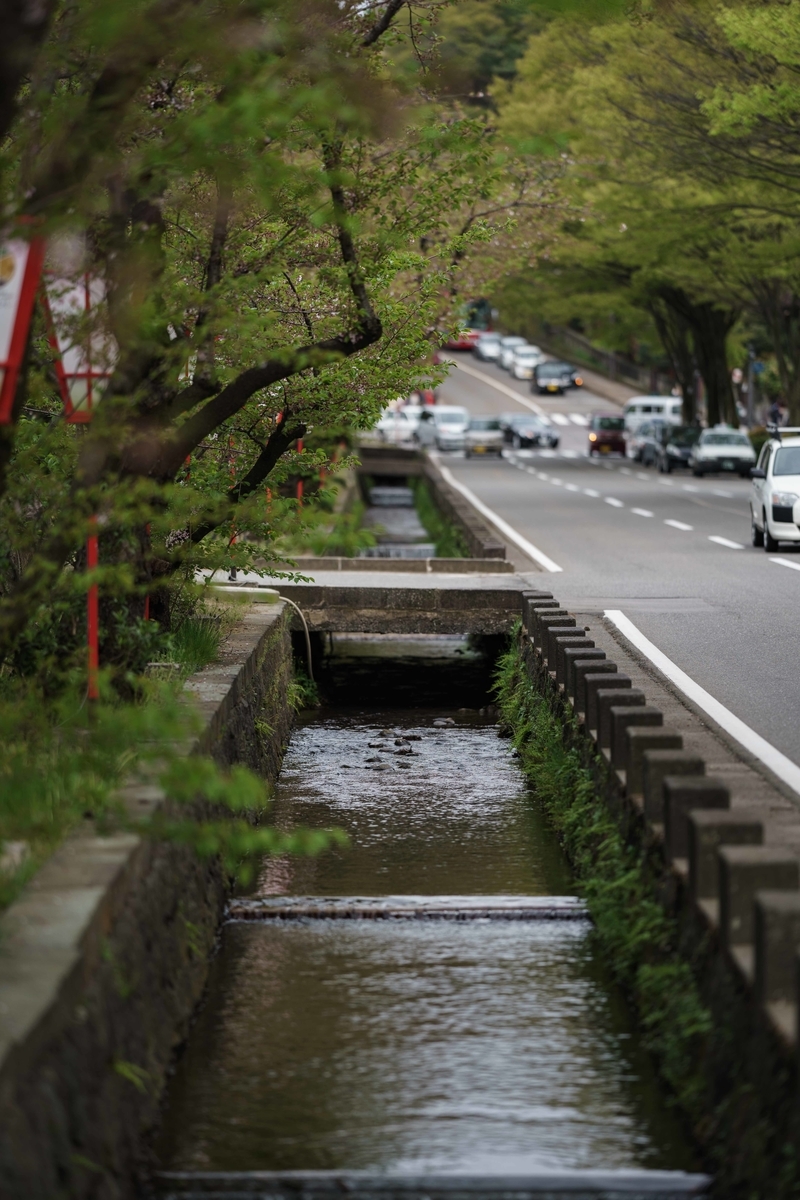 f:id:Studiocedarv:20190420144501j:plain f:id:Studiocedarv:20190420144501j:plain