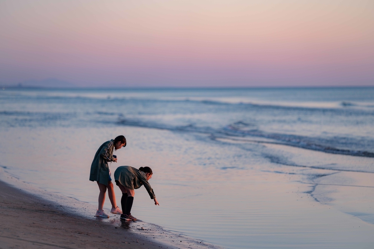 f:id:Studiocedarv:20190507233550j:plain f:id:Studiocedarv:20190507233550j:plain