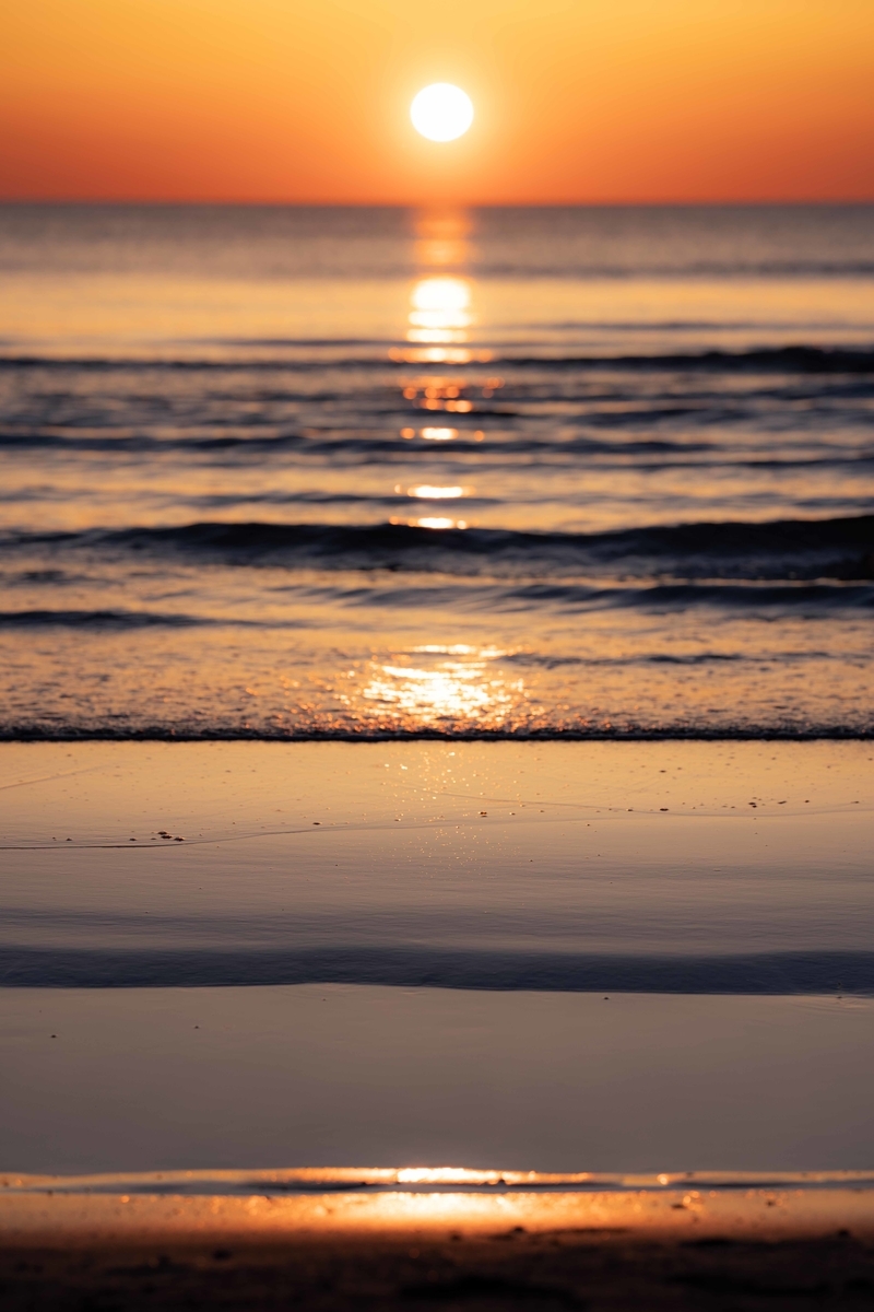 f:id:Studiocedarv:20190507235119j:plain f:id:Studiocedarv:20190507235119j:plain