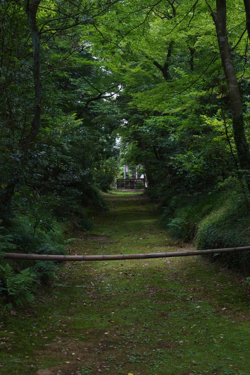 f:id:Studiocedarv:20190707193057j:plain f:id:Studiocedarv:20190707193057j:plain