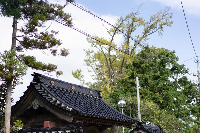 f:id:Studiocedarv:20191013222403j:plain f:id:Studiocedarv:20191013222403j:plain