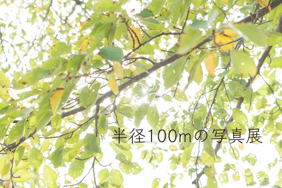 f:id:Studiocedarv:20191013222718j:plain f:id:Studiocedarv:20191013222718j:plain
