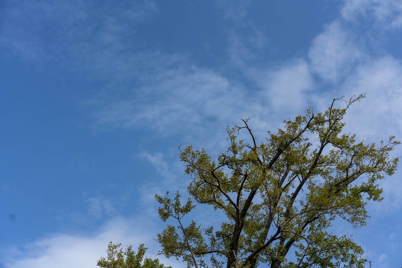 f:id:Studiocedarv:20191013222935j:plain f:id:Studiocedarv:20191013222935j:plain