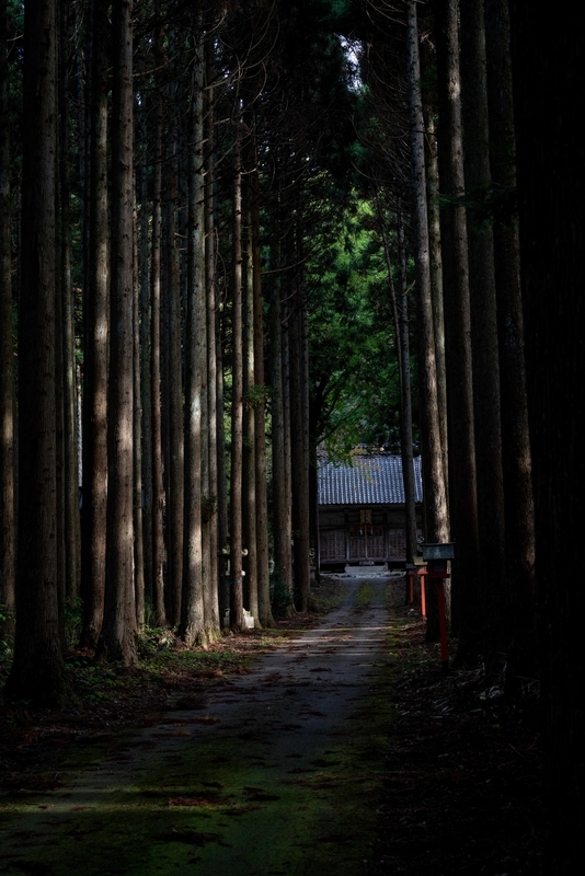 f:id:Studiocedarv:20191110230347j:plain