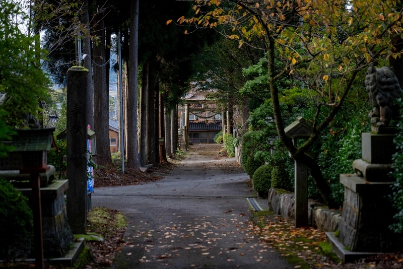 f:id:Studiocedarv:20191110231037j:plain