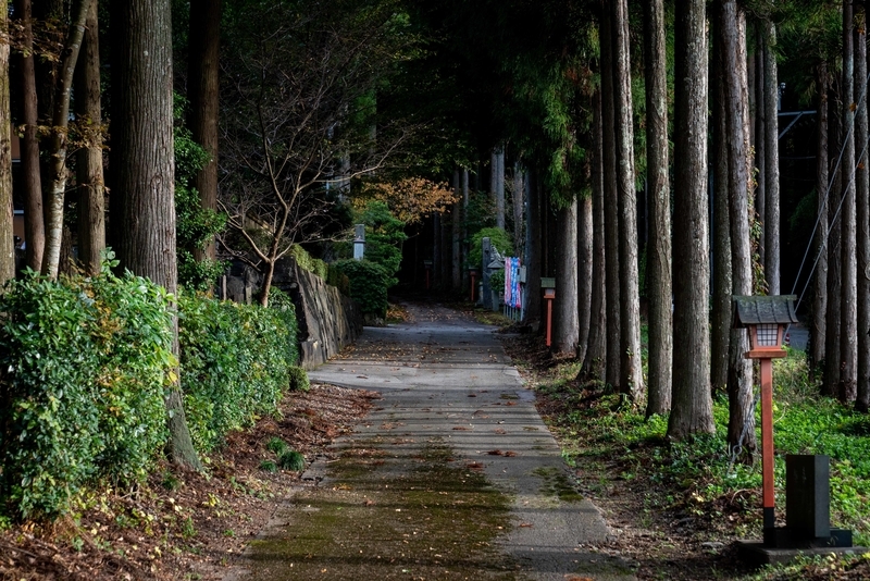 f:id:Studiocedarv:20191110231142j:plain