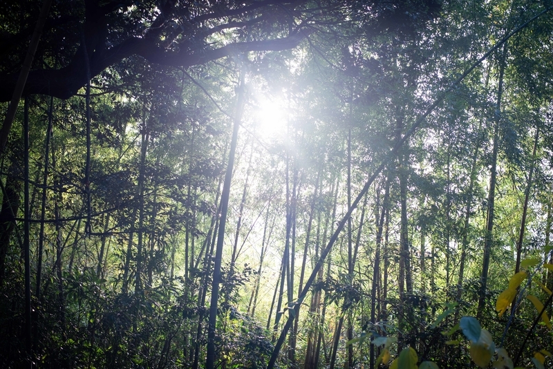 f:id:Studiocedarv:20191117091116j:plain