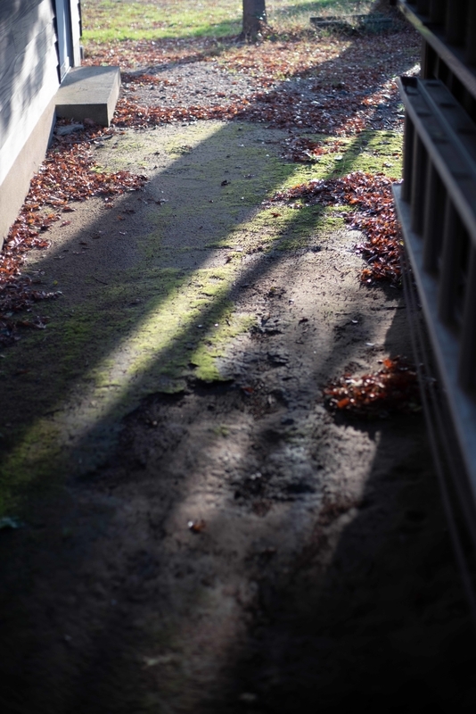 f:id:Studiocedarv:20191117091356j:plain