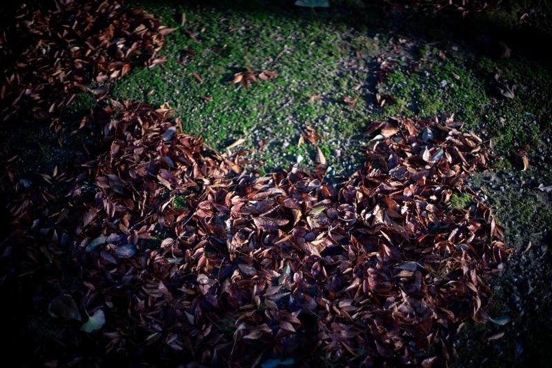 f:id:Studiocedarv:20191117091454j:plain