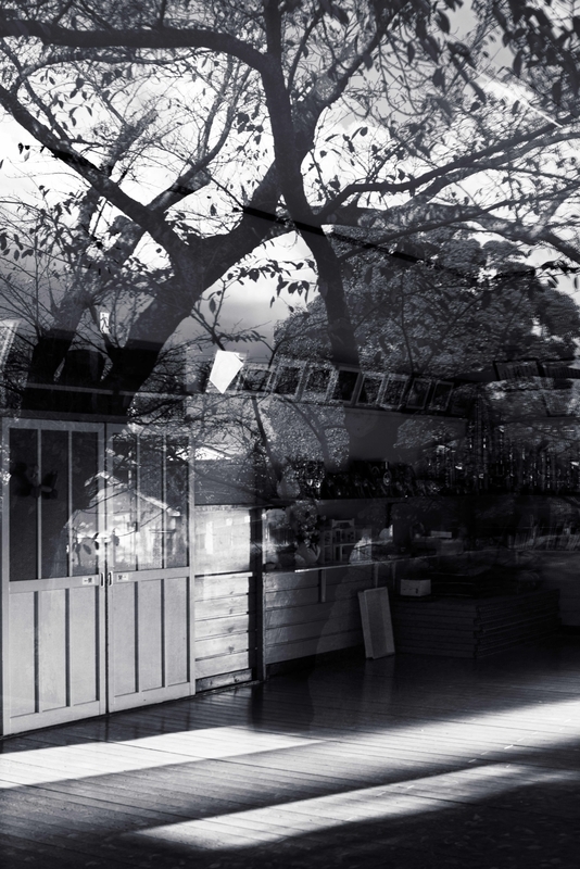 f:id:Studiocedarv:20191117091736j:plain