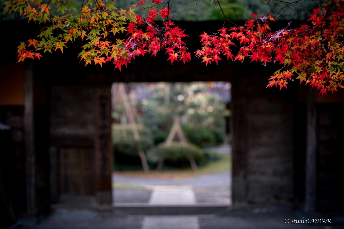 f:id:Studiocedarv:20191130220703j:plain