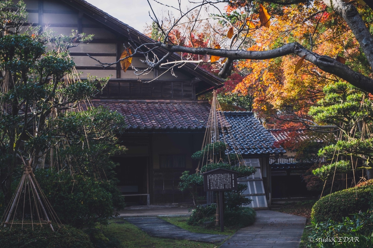 f:id:Studiocedarv:20191130220734j:plain