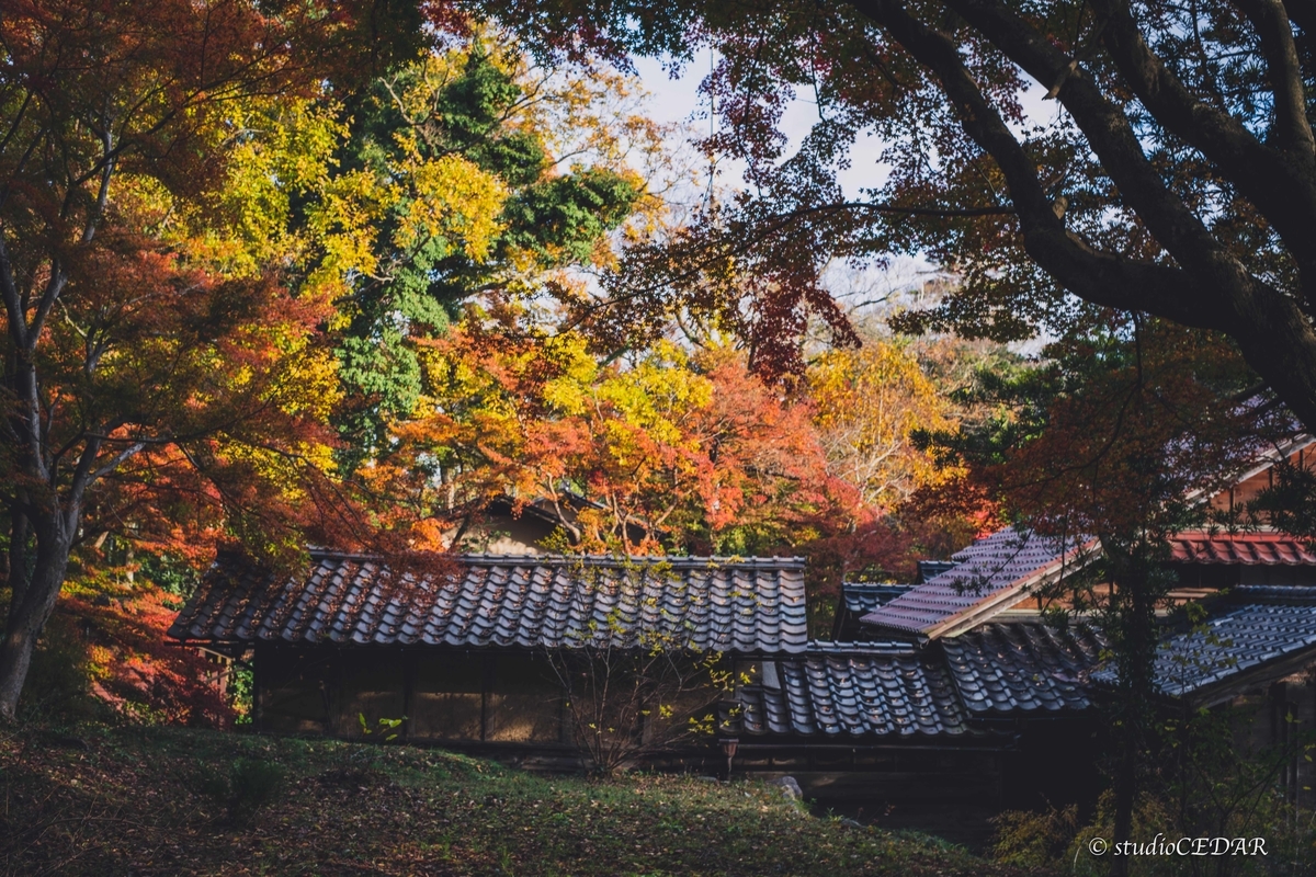 f:id:Studiocedarv:20191130221334j:plain
