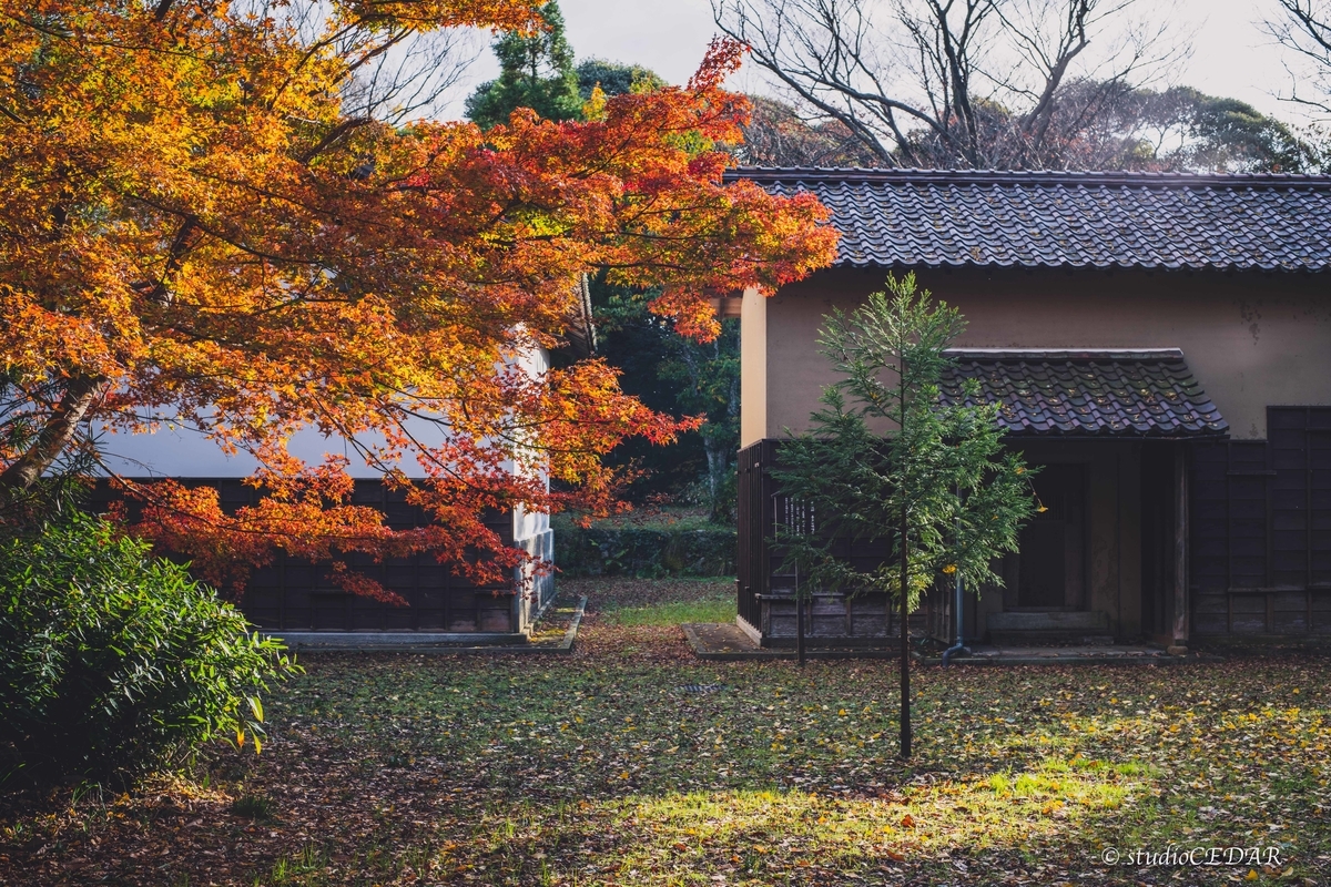 f:id:Studiocedarv:20191130221404j:plain