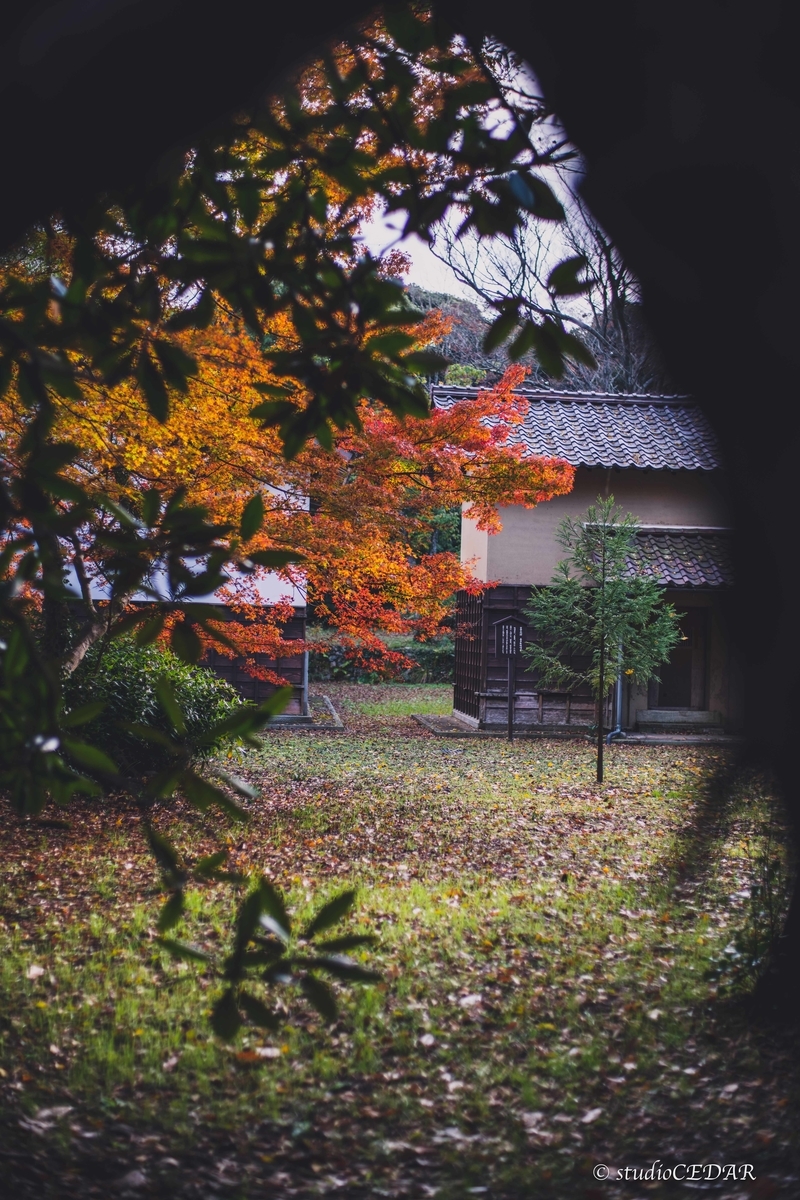 f:id:Studiocedarv:20191130221609j:plain