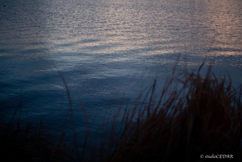 f:id:Studiocedarv:20191215084906j:plain