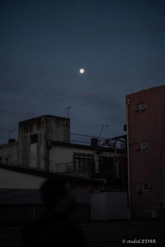 f:id:Studiocedarv:20191215085742j:plain