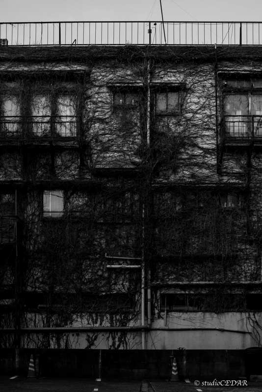 f:id:Studiocedarv:20191215085811j:plain