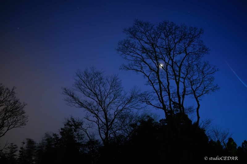 f:id:Studiocedarv:20200127205909j:plain