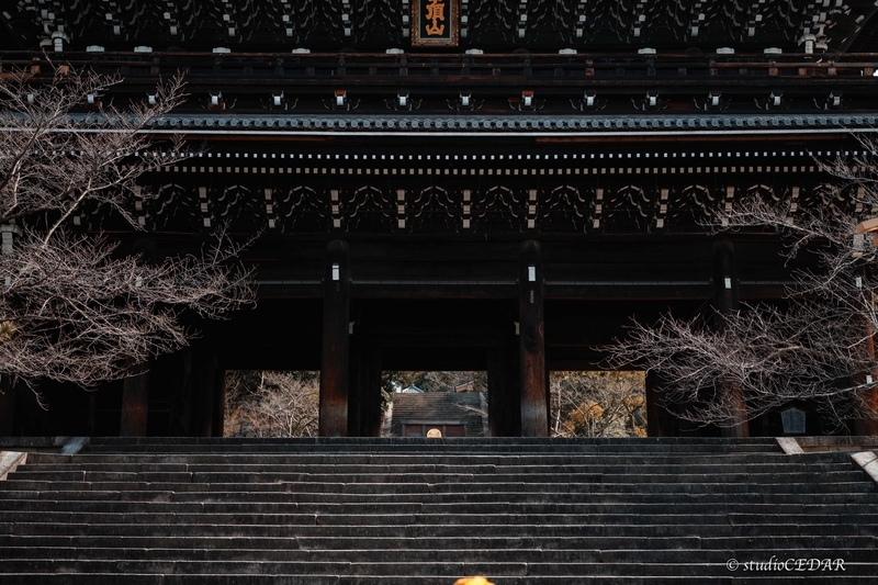 f:id:Studiocedarv:20200208165248j:plain